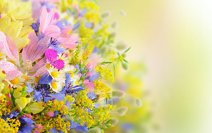 flowers blur field-Plants HD Wallpapers, pink, yellow, and purple petaled flowers, HD wallpaper