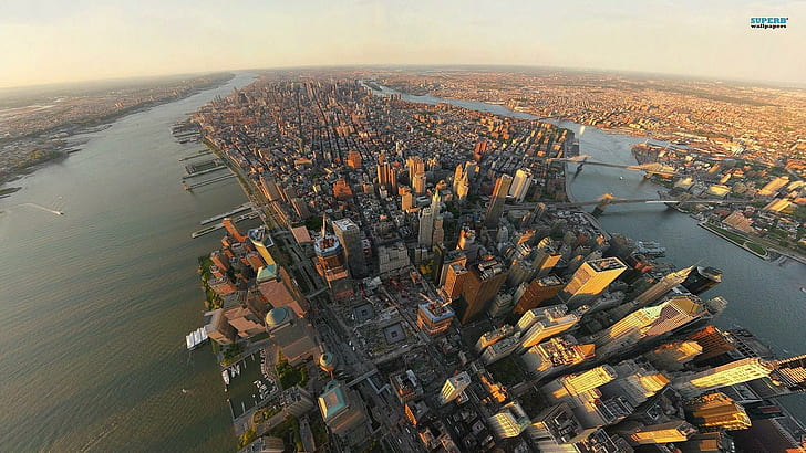 Manahattan From The Top, foto udara kota, sungai, pulau, gedung pencakar langit, binatang, Wallpaper HD