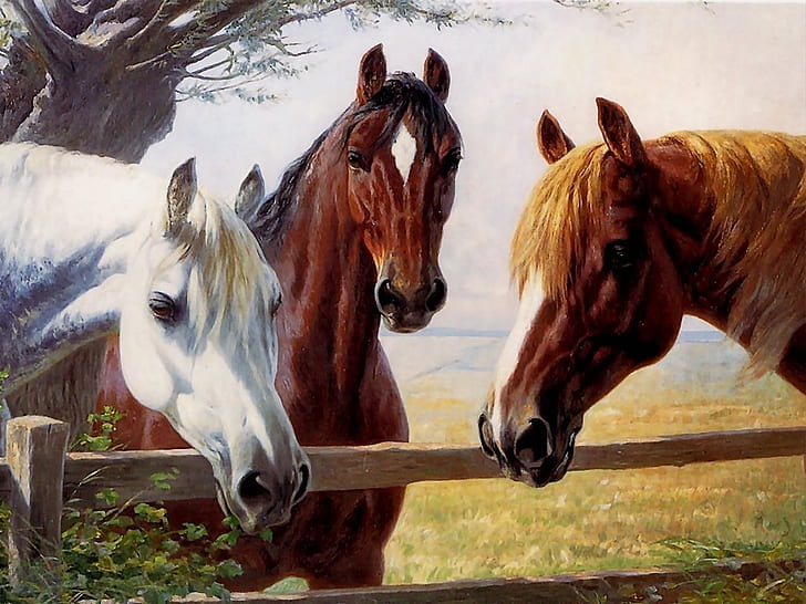 3-х лошадей рисуют животные, шланги красиво рисуют HD, животные, лошади, рисуют, красиво, шланги, HD обои