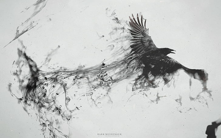 crow raven ink, HD wallpaper