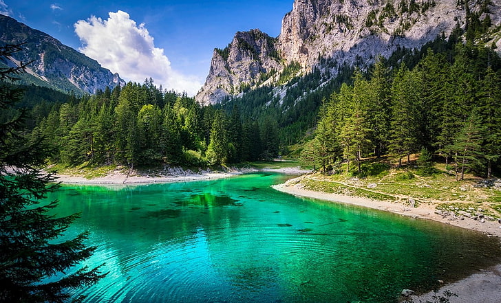lake, forest, green, mountains, water, summer, grass, cliff, clouds, Austria, nature, landscape, HD wallpaper