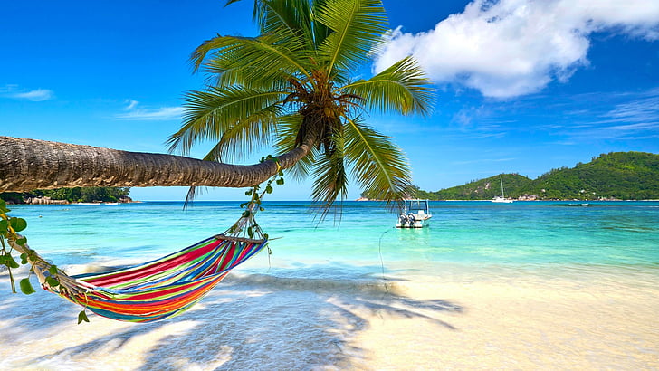 mer, loisirs, lagune, été, ciel, tourisme, rivage, vacances, hamac, paysage d'été, vacances, tropiques, tropical, palmier, plage, front de mer, palmier, Fond d'écran HD