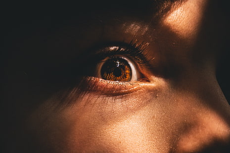 occhio marrone, occhio, pupilla, ciglia, primo piano, Sfondo HD HD wallpaper
