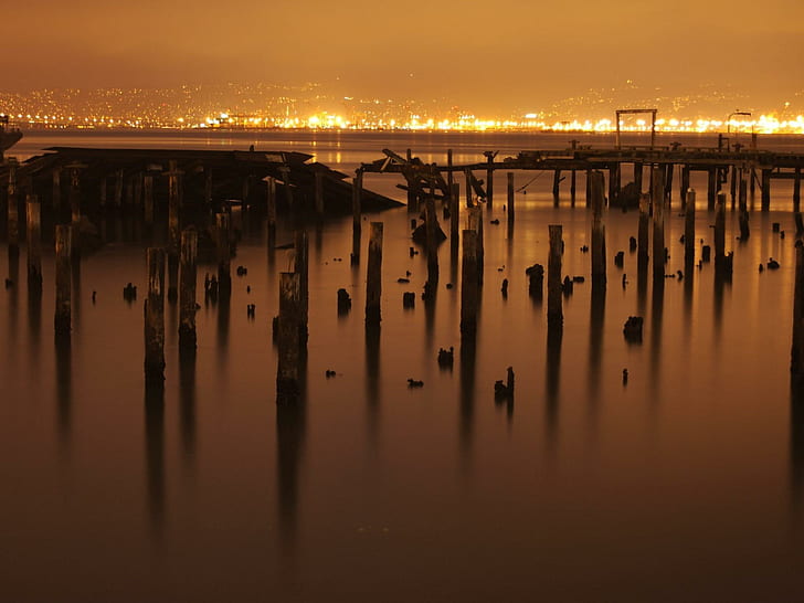 Distant Lights, tree pier stamps, water, lights, photography, golden, dock, city, 3d and abstract, HD tapet