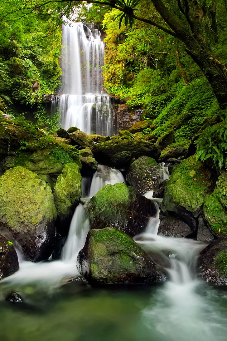 timelapse photography of waterfall, Natural, Silk, timelapse photography, 瀑布, WATERFALL, STREAM, NATURE, LANDSCAPE, forest, river, freshness, water, tree, rock - Object, outdoors, beauty In Nature, scenics, green Color, tropical Rainforest, moss, HD wallpaper