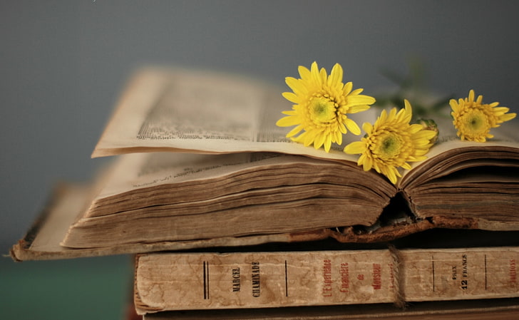 Flores amarillas, flores, amarillo, estilo, fondo, fondos de pantalla, libro,  Fondo de pantalla HD | Wallpaperbetter