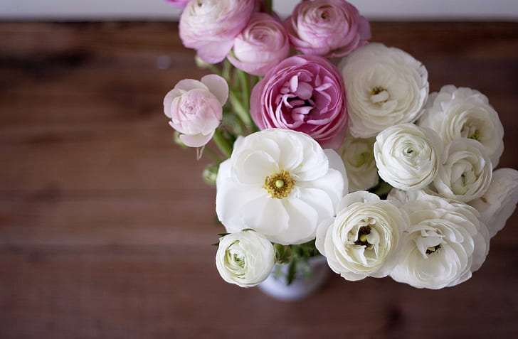 flowers, bouquet, vase, Ranunculus, Asian Buttercup, HD wallpaper