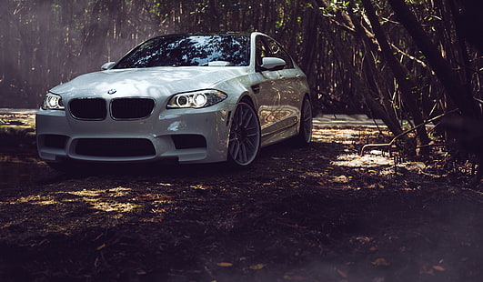 белый BMW F10 седан, бмв, листья, белый, тюнинг, F10, HD обои HD wallpaper