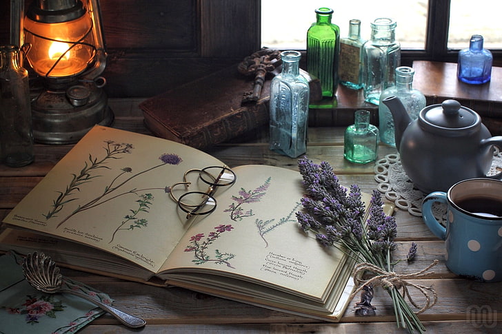brown framed eyeglasses on book, flowers, lamp, glasses, drawings, book, bottle, still life, vintage, lavender, herbarium, HD wallpaper