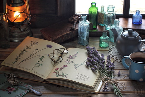 brown framed eyeglasses on book, flowers, lamp, glasses, drawings, book, bottle, still life, vintage, lavender, herbarium, HD wallpaper HD wallpaper
