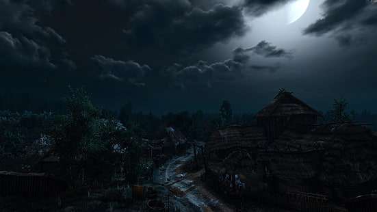 Ведьмак, Ведьмак 3: Дикая Охота, ночь, деревня, видеоигры, HD обои HD wallpaper
