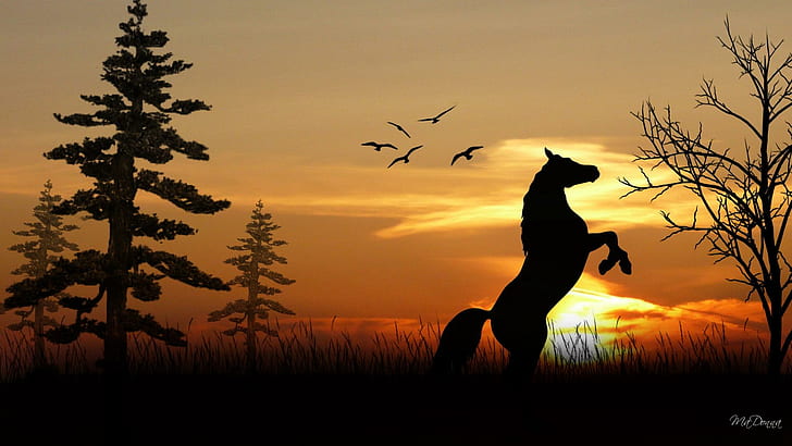 Sunset Play, silhouette di alberi di cavalli e uccelli sotto l'illustrazione del tramonto, alberi, uccelli, cavallo, widescreen, tramonto, 3d ed abstract, Sfondo HD