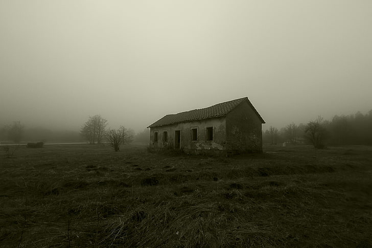 серый дом, туман, заброшенный, жуткий, здание, HD обои