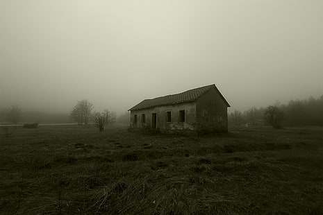 casa gris, niebla, abandonado, escalofriante, edificio, Fondo de pantalla HD HD wallpaper