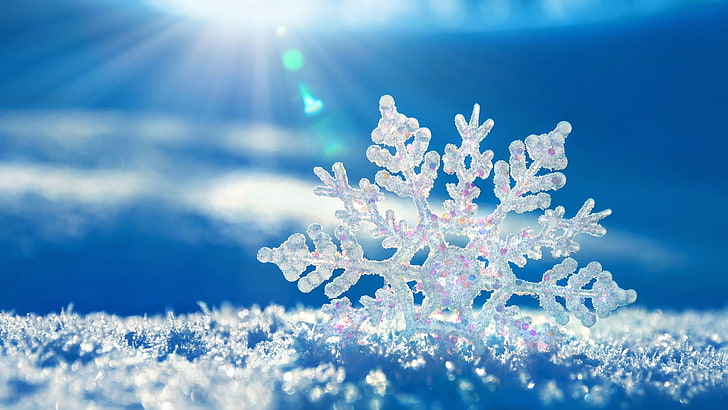 neve, fiocco di neve, riflesso lente, cristalli di ghiaccio, raggi solari, Sfondo HD