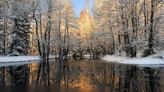 background winter scene 2560x1440, HD wallpaper HD wallpaper
