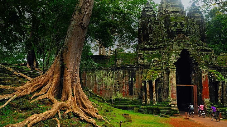 Temples, angkor thom, cambodge, Fond d'écran HD