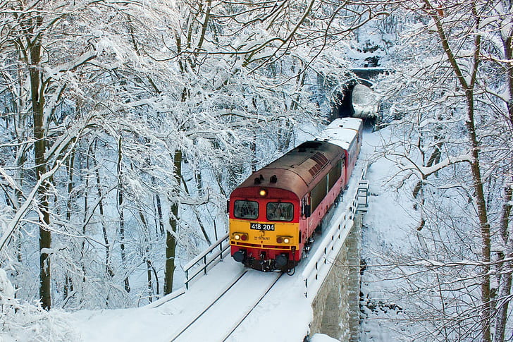 القطار ، الشتاء ، النفق ، الثلج ، الأشجار، خلفية HD