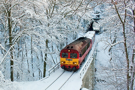 train, winter, tunnel, snow, trees, HD wallpaper HD wallpaper