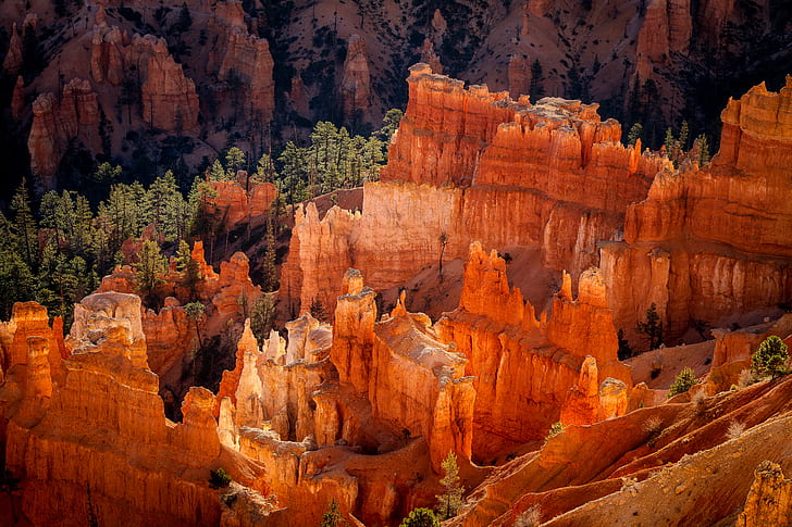 forest, rocks, morning, USA, national Park Bryce Canyon, the geological structure of the Hoodoos, Utah, HD wallpaper