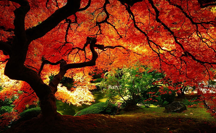 Hermosos paisajes de anime, casas, otoño, Hermosa, Anime, Paisaje, Casas,  Fondo de pantalla HD | Wallpaperbetter