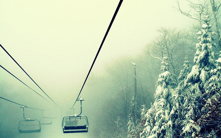 заснежени дървета, природа, ски лифт, мъгла, зима, сняг, HD тапет