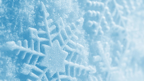 Snowflake Snow Macro Winter HD, nature, macro, neige, hiver, flocon de neige, Fond d'écran HD HD wallpaper