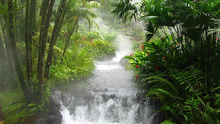 пейзаж, река, тропик, тропический лес, водопад, HD обои