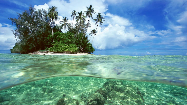 Остров Пальм, вода, остров, пальмы, природа, синий, зеленый, океаны, 3d и аннотация, HD обои