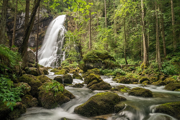 Wasserfalllandschaft, Wald, Bäume, Moos, HD-Hintergrundbild