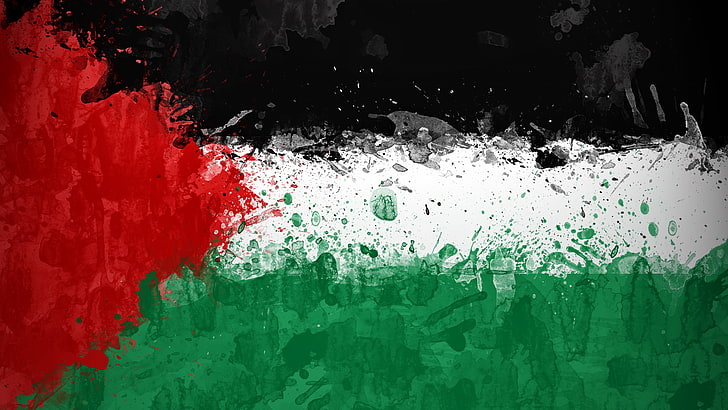 검정, 흰색 및 빨강 깃발 그림, 페인트, 깃발, 팔레스타인, HD 배경 화면