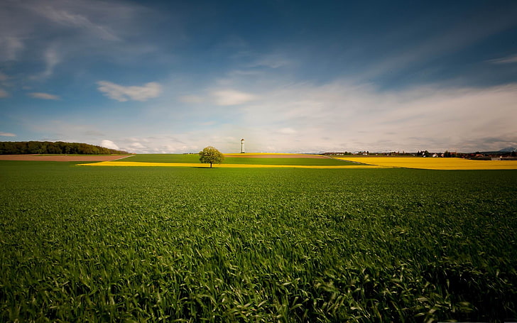 красиво поле-Природен пейзаж широкоекранен Wallp .., зелено тревно поле, HD тапет