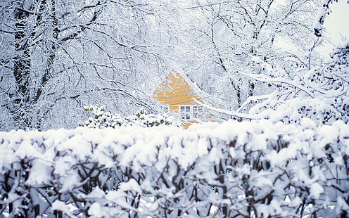 冬、雪、木、家、ノルウェー、オスロ、 HDデスクトップの壁紙 HD wallpaper