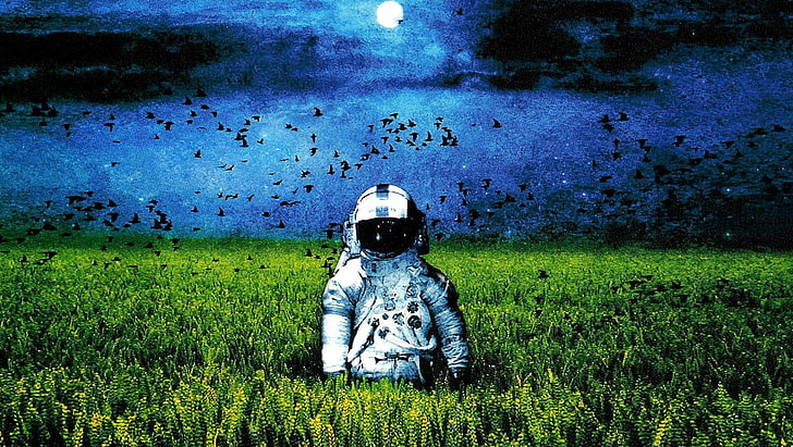 astronauta w środku trawiastego pola malowanie, astronauta, grafika, okładki albumów, Tapety HD