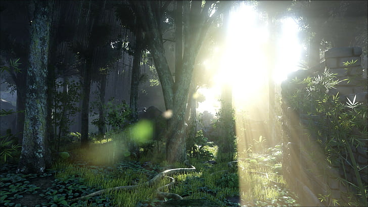 Ark: Survival Evolved, Orman, güneş ışığı, Ada, video oyunları, HD masaüstü duvar kağıdı