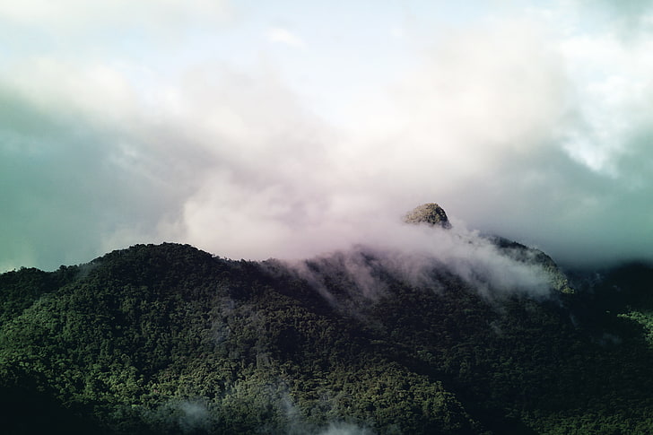 gunung, pohon, hutan, awan, langit, Wallpaper HD