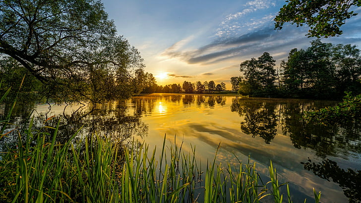 reflection, water, landscape, sky, dawn, waterway, tree, wetland, morning, lake, grass, HD wallpaper