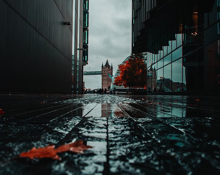 city, London, Tower Bridge, rain, wet, cobblestone, fall, HD wallpaper