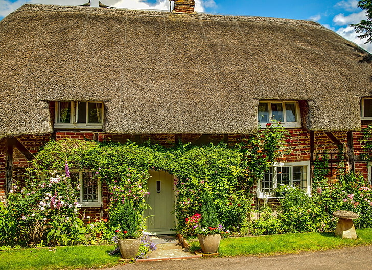 Здания, Дом, Англия, цветок, рукотворный, весна, соломенная крыша, HD обои