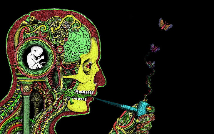 Rauchen Mann Illustration, Drogen, Rauchen, Rohre, Gesicht, Schmetterling, Gehirn, Rastafari, H. R. Giger, Kunstwerk, psychedelisch, Schädel, surreal, HD-Hintergrundbild
