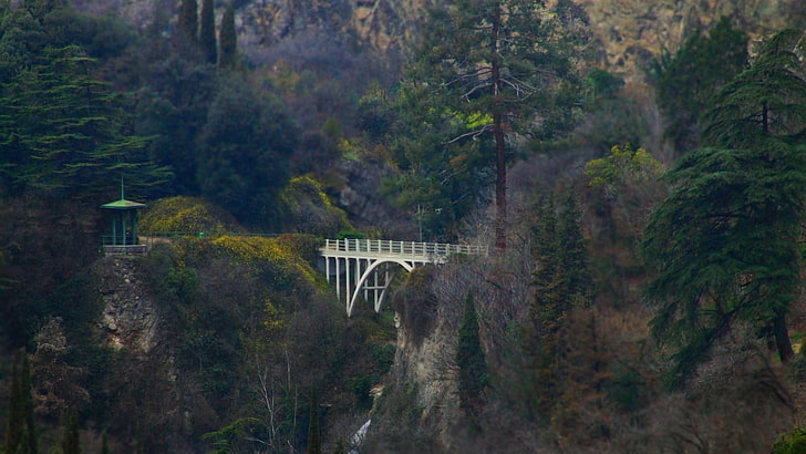 ponte di metallo bianco, fotografia, natura, paesaggio, alberi, ponte, foresta, rocce, Sfondo HD