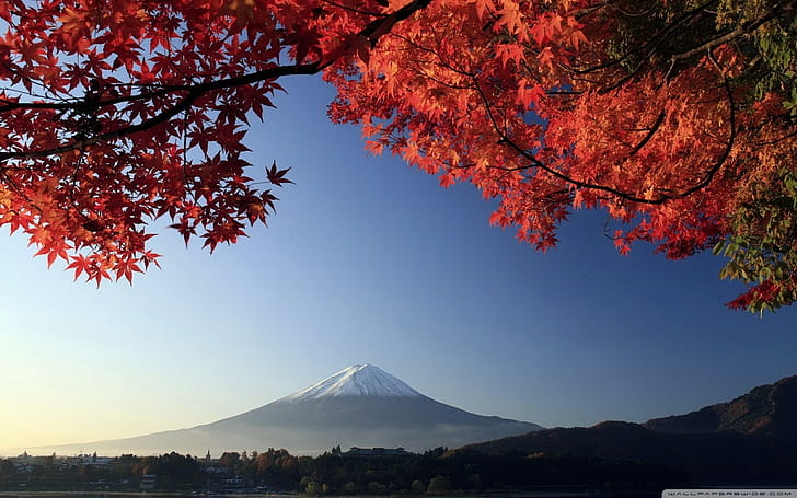 niebo, jesień, góry, Japonia, góra Fuji, drzewa, Tapety HD