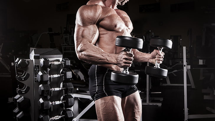person holding dumbbells, men, sport , bodybuilding, Bodybuilder, muscles, HD wallpaper