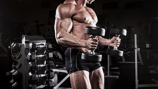 Person mit Hanteln, Männer, Sport, Bodybuilding, Bodybuilder, Muskeln, HD-Hintergrundbild HD wallpaper
