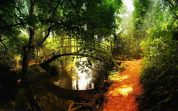 природа, пейзаж, мост, тропинка, деревья, река, растения, HD обои