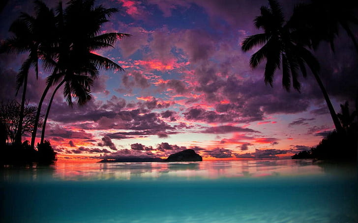 landscape, beach, sunset, tropical, nature, palm trees, water, Tahiti, sky, clouds, island, turquoise, sea, HD wallpaper