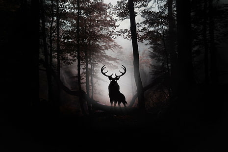판타지 동물, 사슴, 어두운, 숲, 실루엣, HD 배경 화면 HD wallpaper