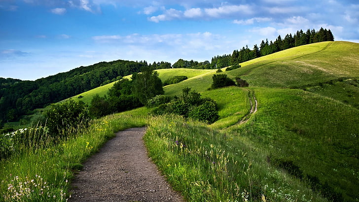 пътека, поле, трева, пейзаж, небе, хълм, хълмове, HD тапет