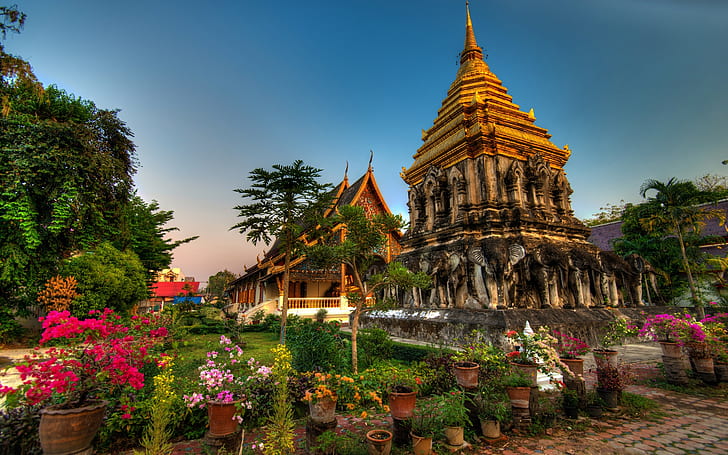 Wat Chiang Man Thailand, uomo di Wat Chiang, Tailandia, fiori, giardino, Sfondo HD