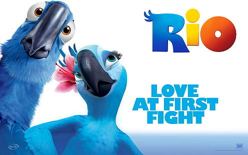 الحب من أول قتال ريو ، الحب ، أولا ، القتال ، الأفلام، خلفية HD HD wallpaper